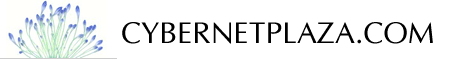 Prom Dresses and Bridesmaid Dresses by Cybernetplaza.com. Landmark Label. Best Prom Dresses, Cheap Formal Dresses, Designer Evening Gowns, Best Evening Dresses