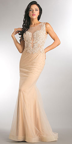 Embroidered Lace Top Mesh Tulle Long Prom Pageant Dress. a641.