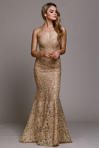 Embroidered Criss-Cross Back Fitted Prom Gown