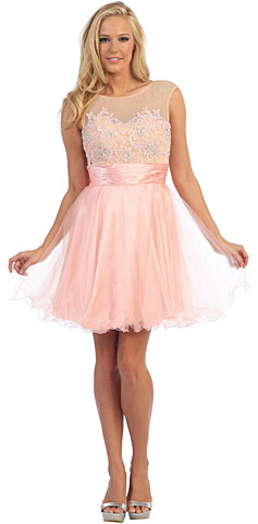 Floral Pattern Bodice Short Tulle Party Prom Dress