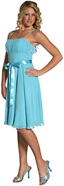 Tea Length Ribbon Party Dress