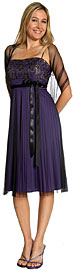 Pleated English Net Ribbon Party Dress