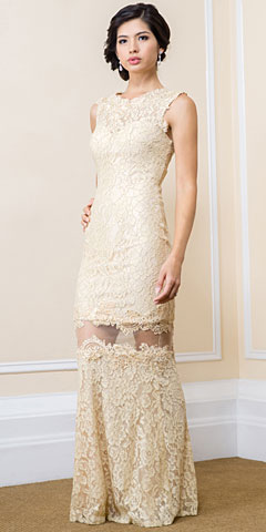 Stylish Floral Mesh Lace Accent Long Prom Pageant Dress