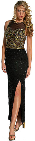 Bustier Transparent Full Length Gown